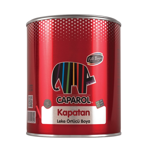 Filli Boya Kapatan 2,5 Lt