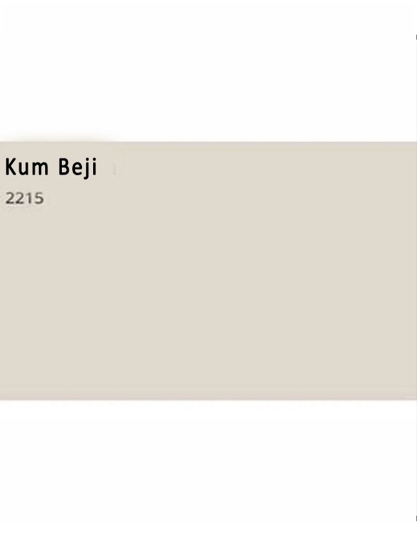 Sierra Dönüşüm Boyası 1 Kg